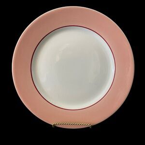 Vintage Carr China Restaurant Ware RHO DENDRA Pink Stripe Dinner Plate 9.25"